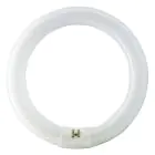 Osram T9 Lumilux Circline 32W - 840 kold hvid | 30cm